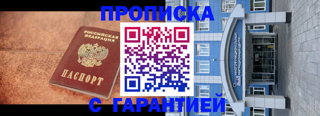 где прописаться в Сураже